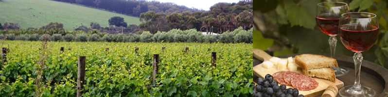 Mornington Peninsula Winery