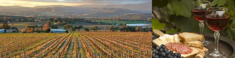 Yarra Valley Winery